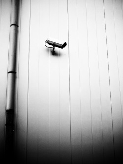 Камеры видеонаблюдения: функциональность на страже безопасности