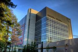 Институт нанотехнологий