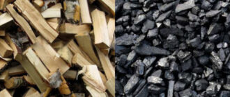 Чем лучше топить печь: углем или дровами?