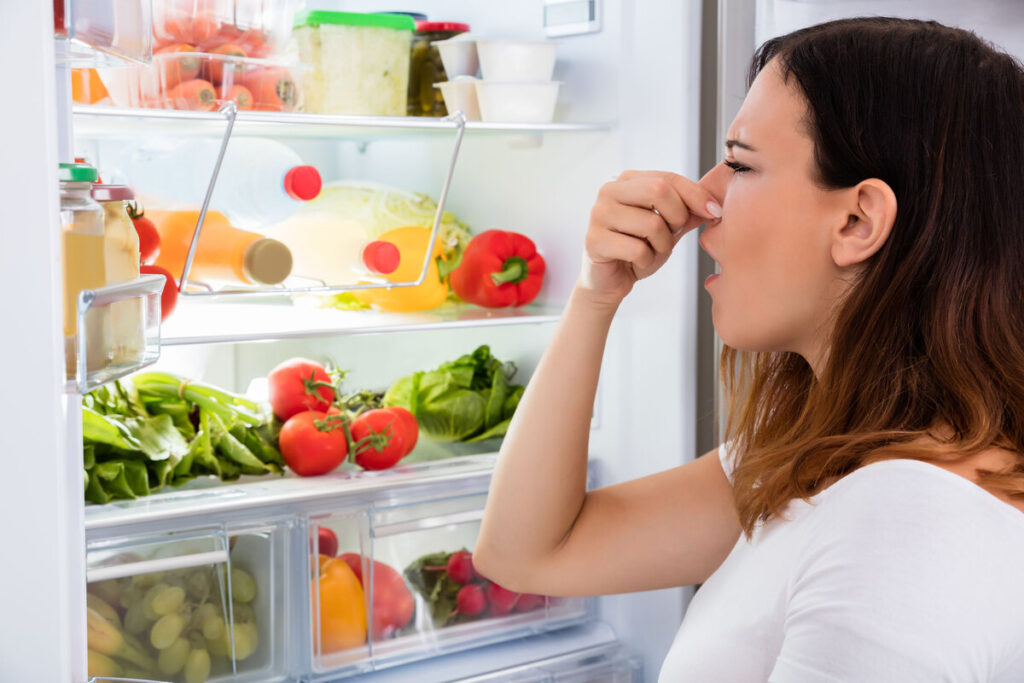 Как устранить запах из холодильника 