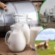 Молоко на експорт з України до Європи