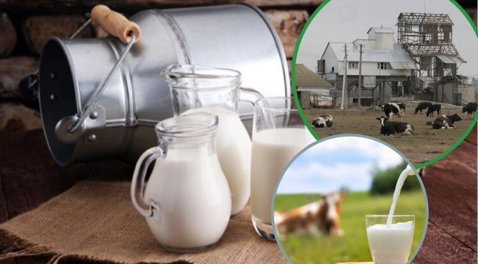 Молоко на експорт з України до Європи
